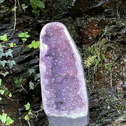 X Large Amethyst Cathedral