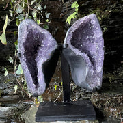 Rare Uruguayan Amethyst Angel Wings