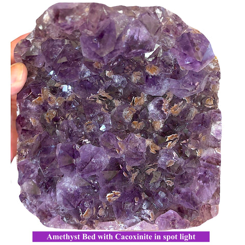 Rare X Large Amethyst Bed with Cacoxinite inclusions