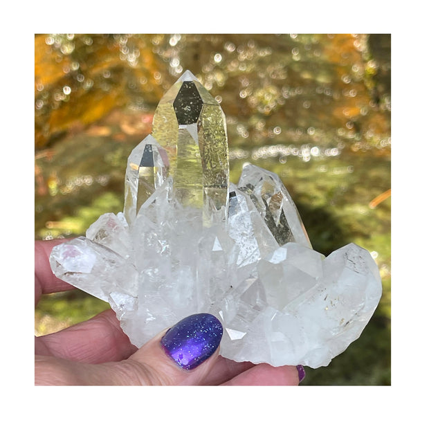 Pretty Clear Quartz Cluster