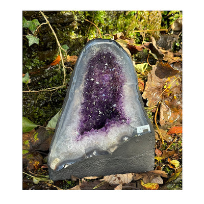 Medium Uruguayan Amethyst Cathedral - 8 1/2"