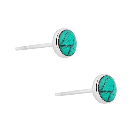 Beautiful Dainty Turquoise Studs