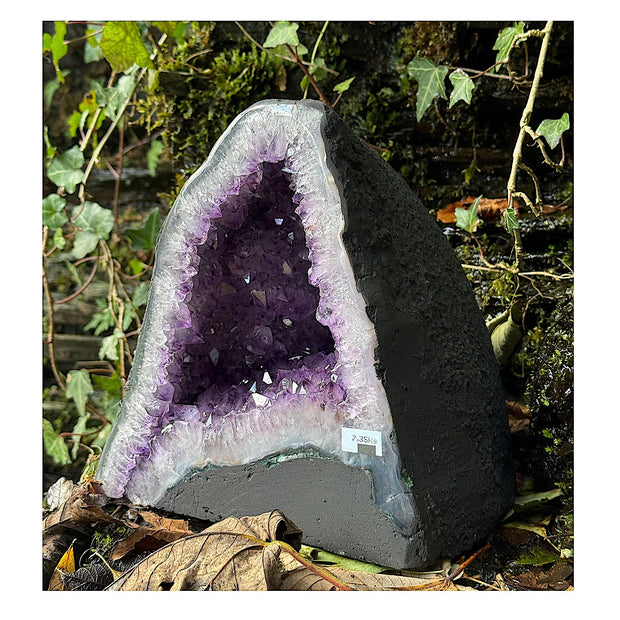 Beautiful Uruguayan Amethyst Cathedral / Church Geode - 9" High