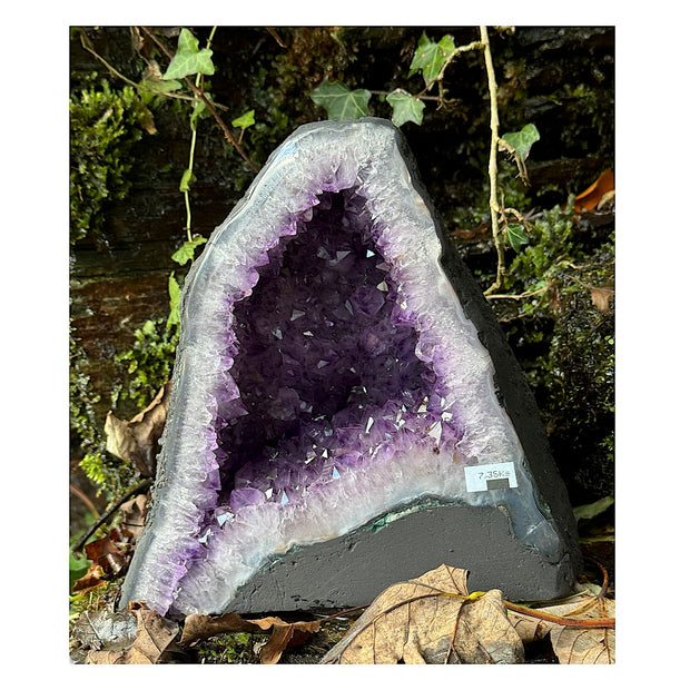 Beautiful Uruguayan Amethyst Cathedral / Church Geode - 9" High