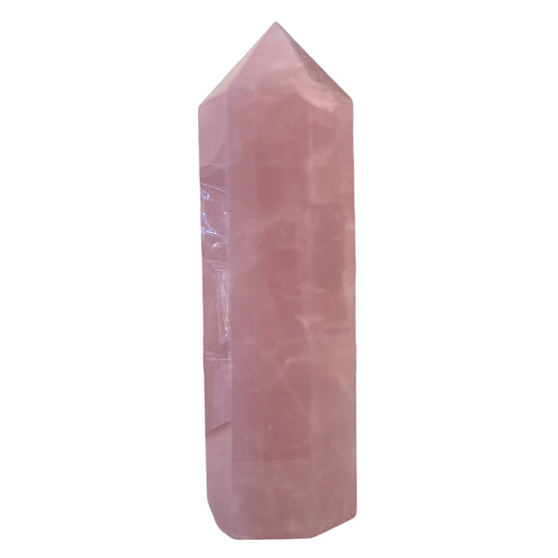 X Large Rose Quartz Point - 6 1/2" / 16.25cm high