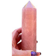 X Large Rose Quartz Point - 6 1/2" / 16.25cm high