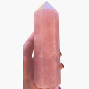 X Large Rose Quartz Point - 6 1/2" / 16.25cm high