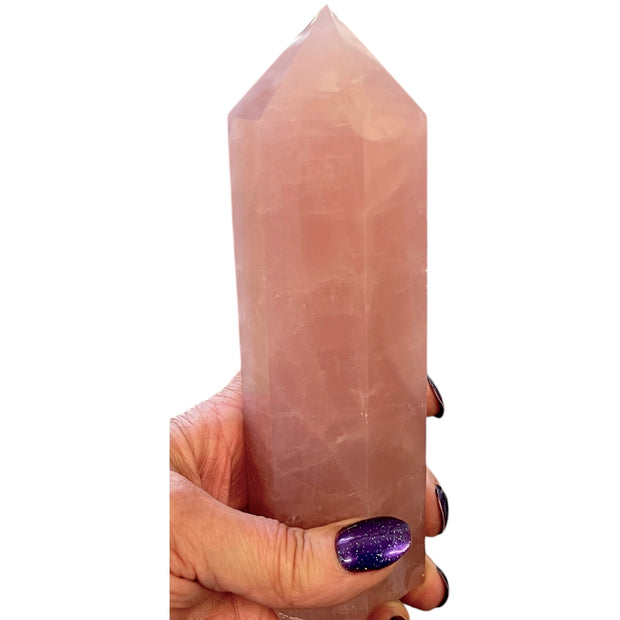 X Large Rose Quartz Point - 6 1/2" / 16.25cm high