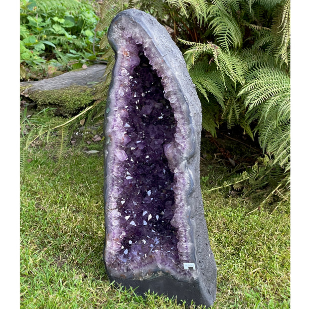 Beautiful X Large Uruguayan Amethyst Cathedral / Church Geode