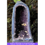 X Large Uruguayan Amethyst Cathedral / Church Geode